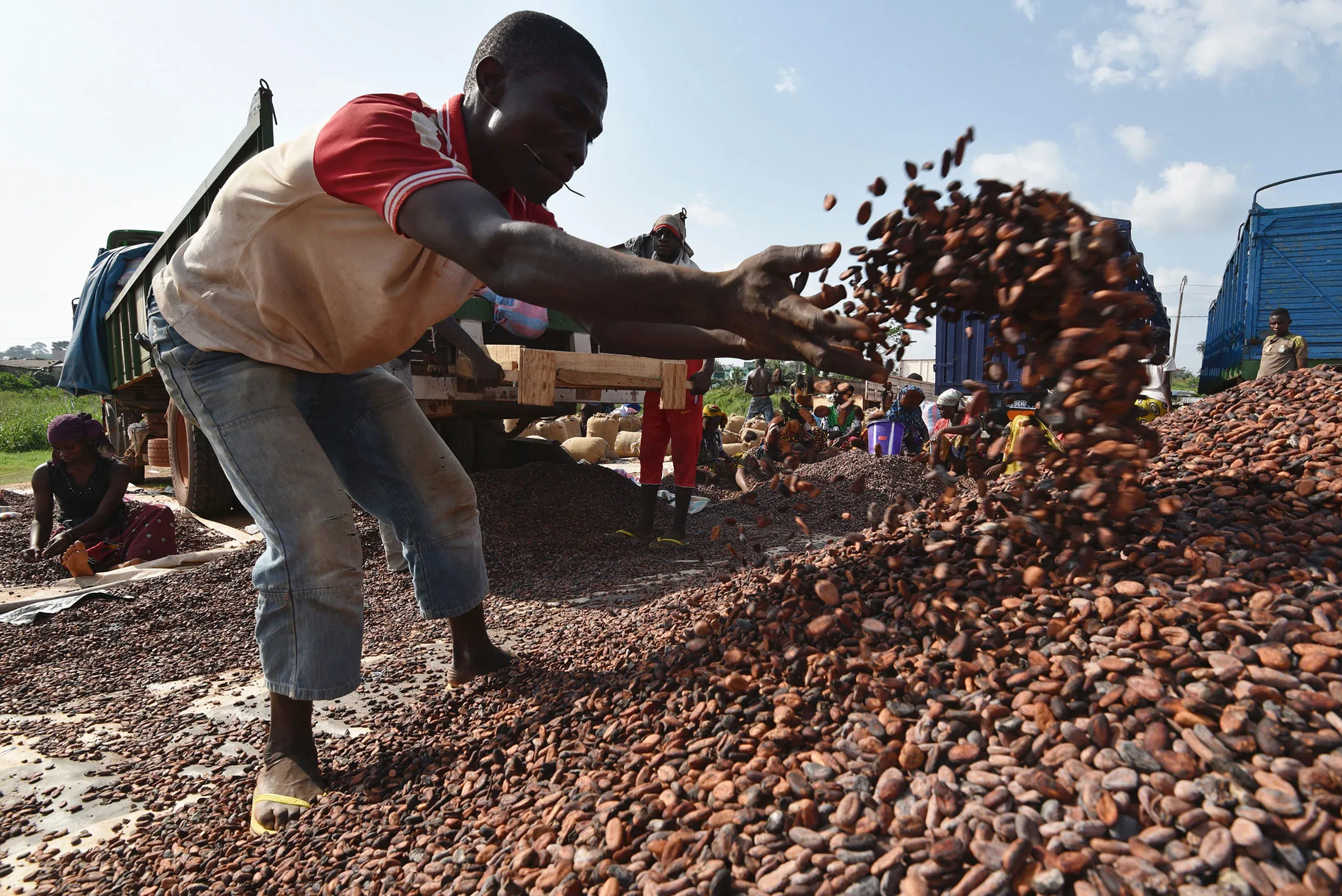 People work at a cocoa sorting center.
