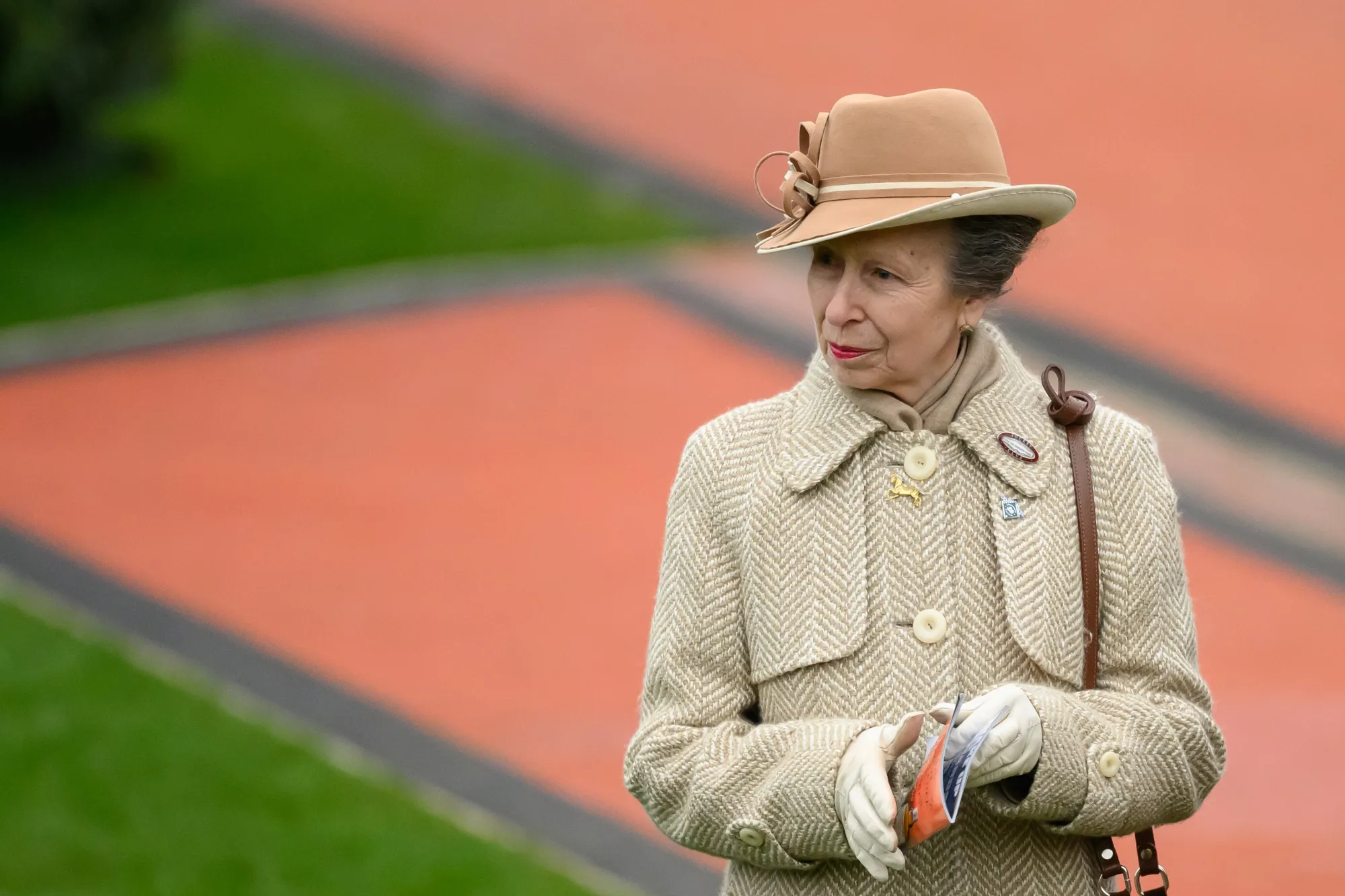 The Princess Royal at&nbsp;Cheltenham Racecourse in mid-March.