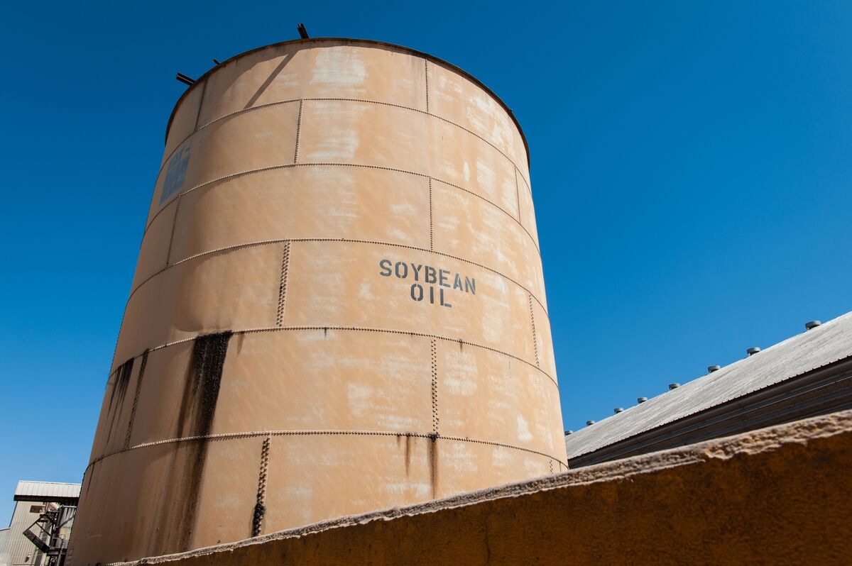 Soybean Oil Rises for Fifth Day With Biofuel Demand in Focus