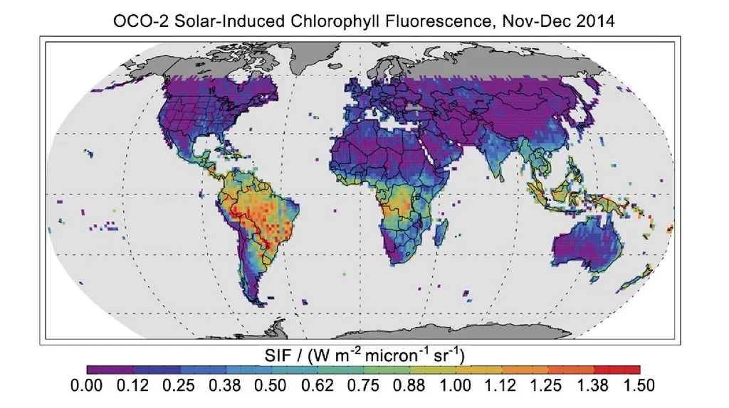 This map shows solar-induced fluorescence, a plant process that occurs during photosynthesis, from Nov. through Dec. 2014 as measured by NASA's Orbiting Carbon Observatory-2.
