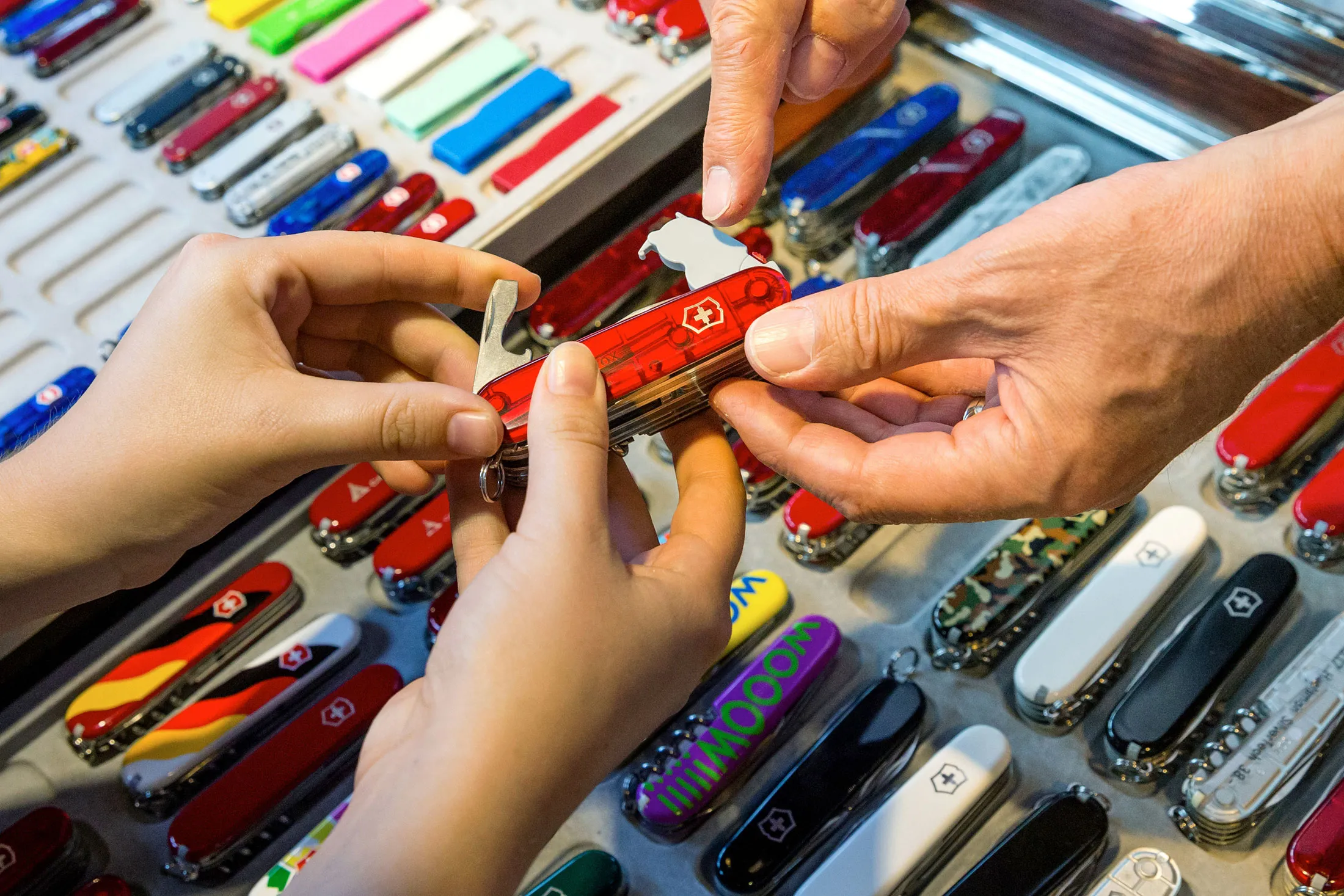 The gains are generally bad news for the economy, pushing Switzerland to the brink of its first recession in six years and causing the sharpest drop in consumer prices in the developed world.
