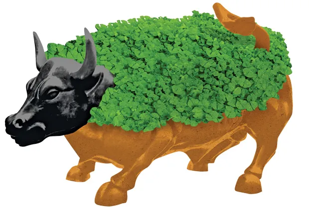 The company behind Chia Pets, Joseph Enterprises, does not offer a Chia bull