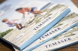 Temasek Portfolio Value Rises as Unlisted Assets Outperform