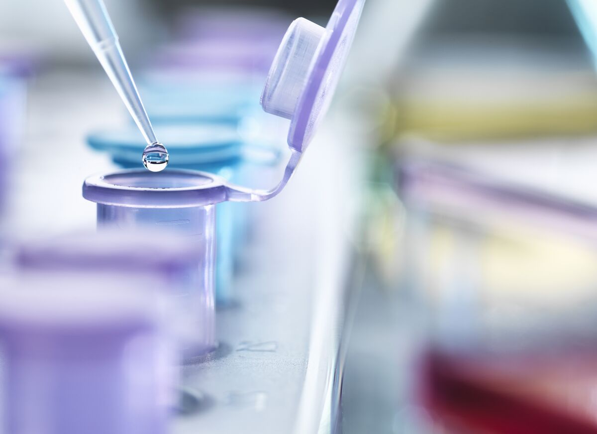 Non-Opioid Painkiller Maker Latigo Seeks $288 Million in US IPO