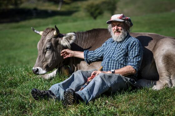 Cow-Horn Vote Parades Switzerland's Populist Safety Valve