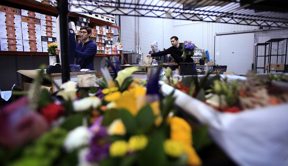 Flower Startup Tops 100 Million Valuation After Latest Funding Bloomberg