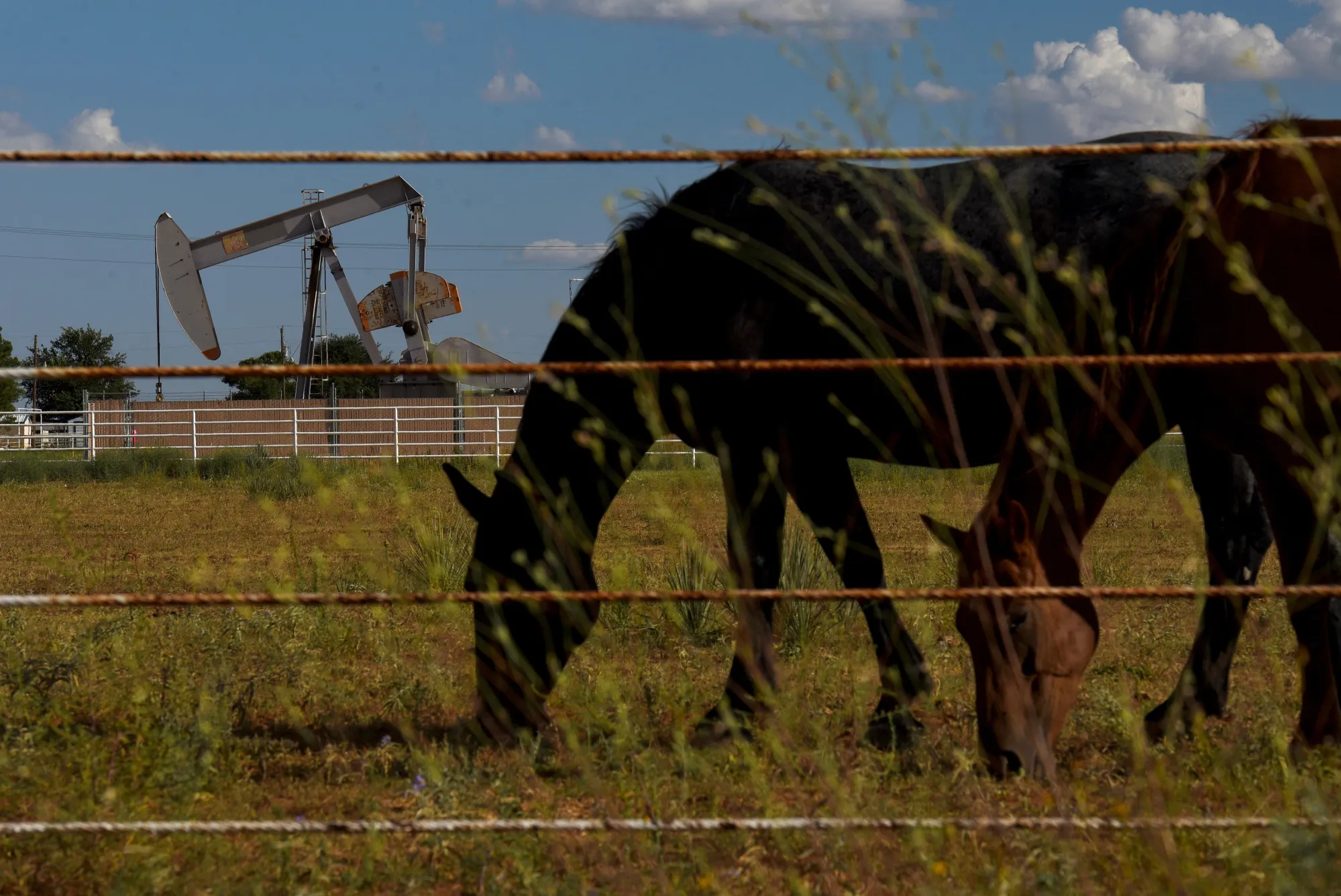 Permian Basin oil and natural gas output may grow in 2024, though&nbsp;at a&nbsp;slower pace than last year.