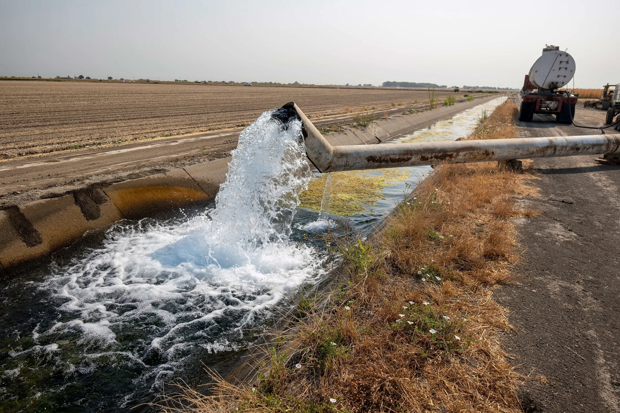 Climate Change Hits Sushi Supply Chain Amid California Water War