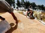 Farmers harvest wheat south of Damascus, Syria.