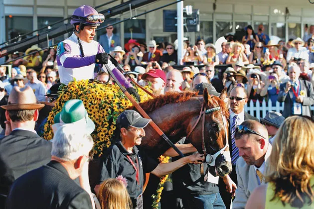 One race to go: Reddam's I'll Have Another in the Preakness Stakes winner's circle