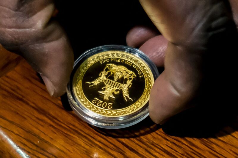 A &quot;Mosi-oa-Tunya&quot; gold coin in Harare.&nbsp;