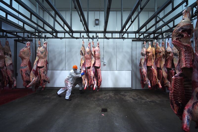 Operations Inside Bindaree Beef Ltd. As China's Money Could Help Kill Two Cows Every Minute in Australia