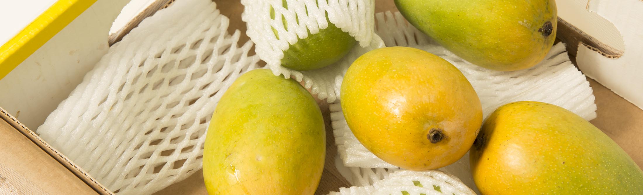 The Best Mangoes In World Are Now Season Kesar From India The Best Mangoes In World Are Now Season Kesar From India Bloomberg