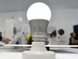 Cheering for LED Bulbs? Read This Cautionary Tale First
