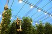 1497440347_Russia-Greenhouse