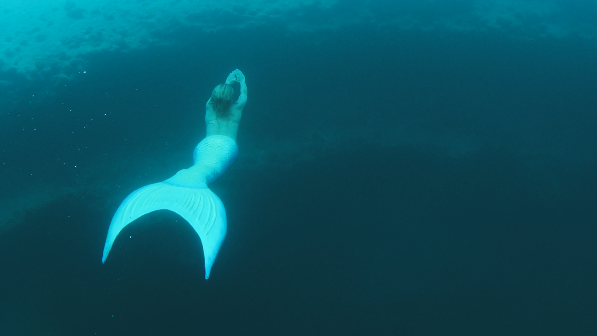 How Professional Mermaids Make (Sand) Dollars - Bloomberg