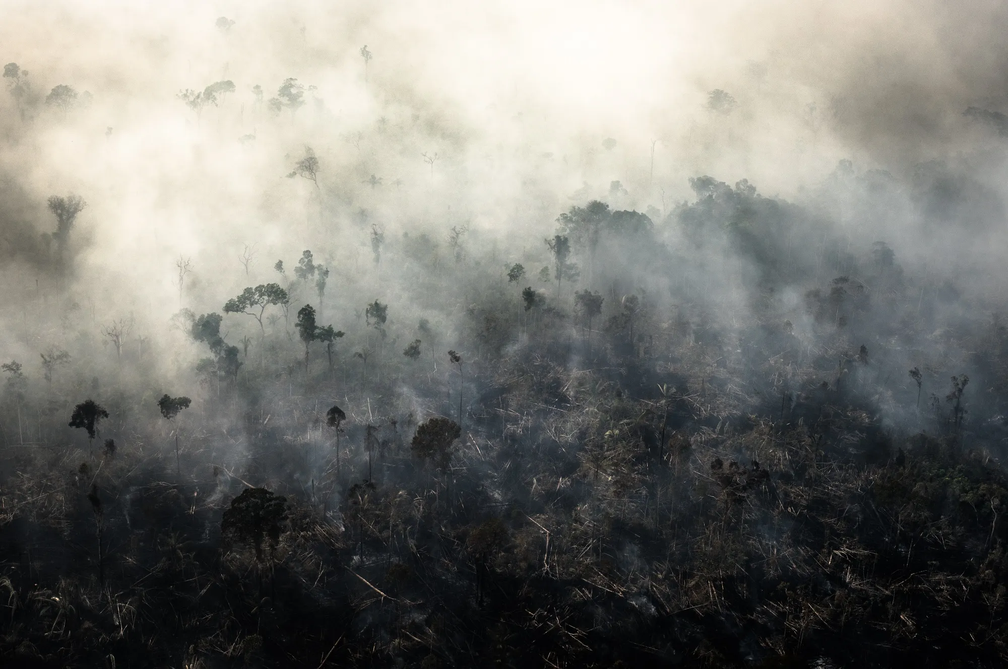 Smoke rises as a fire burns in the Amazon rainforest in this aerial photograph taken above the Candeias do Jamari region of Porto Velho, Rondonia state, Brazil, on Aug. 24, 2019.