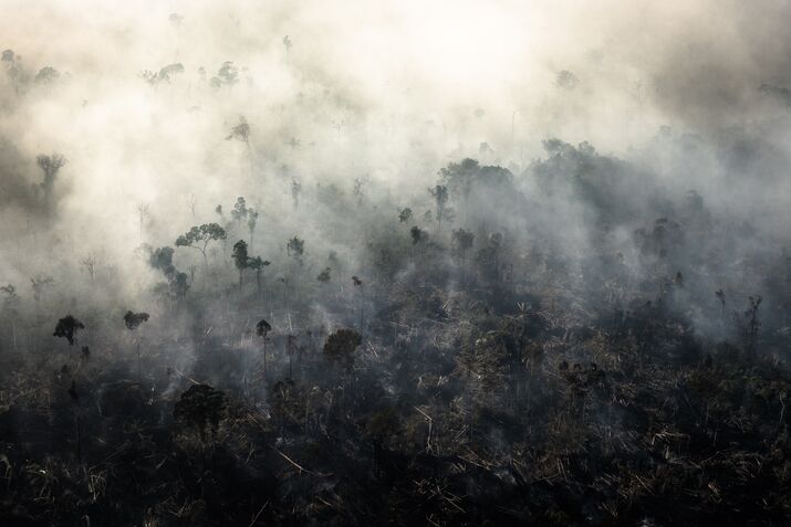 Brazilian Amazon Burns At Record Rate