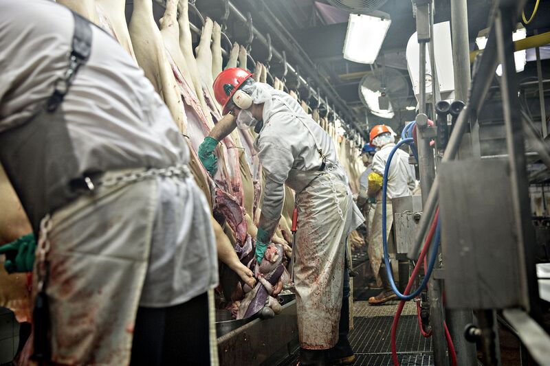 Pork Processing At A Smithfield Foods Plant