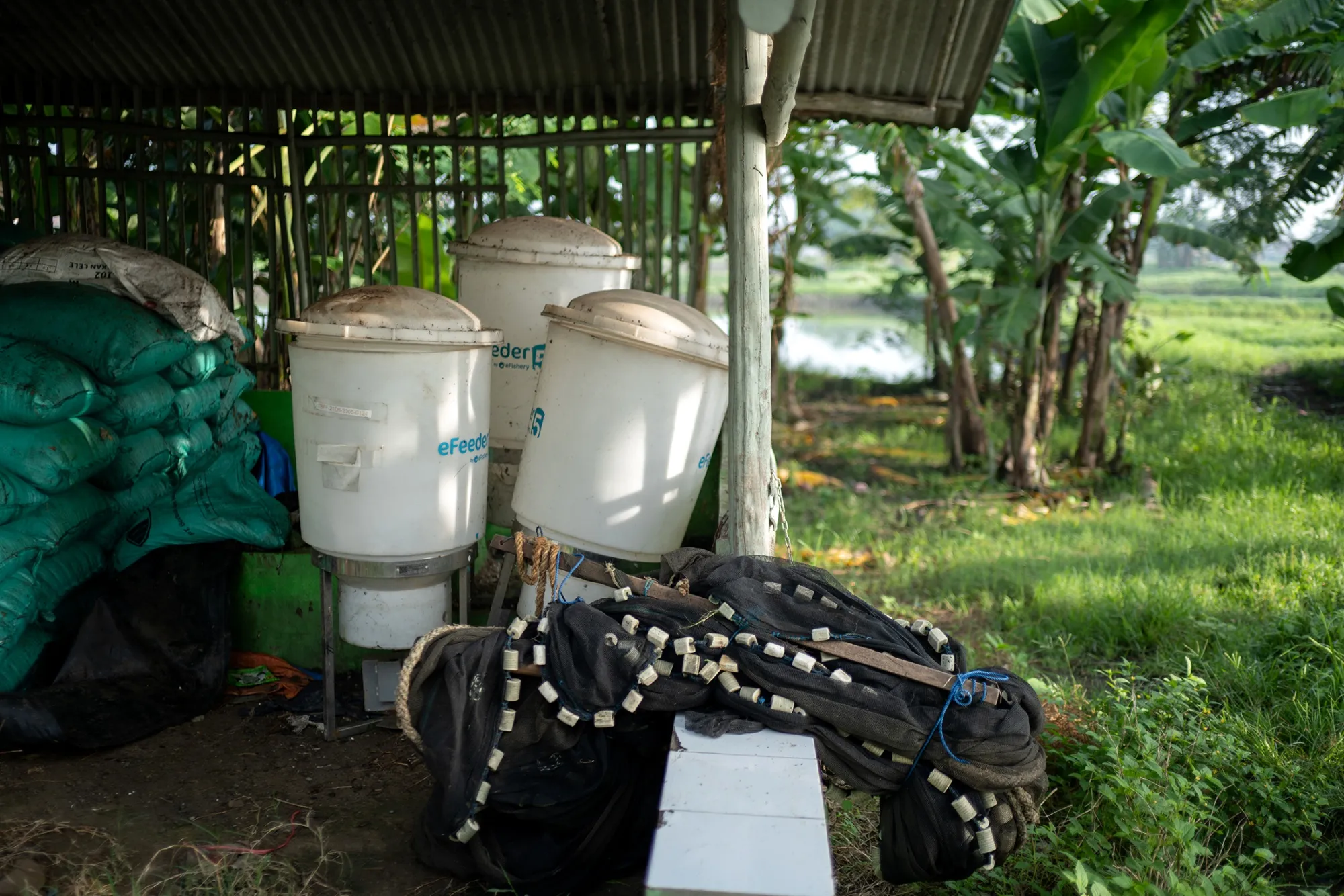 Abandoned eFeeders in March.