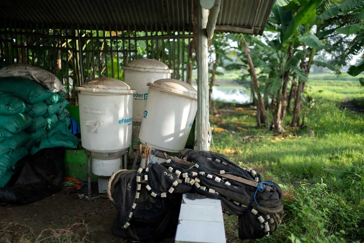 assets.bwbx.io image