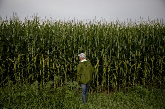 Making Seeds to Withstand Climate Change Is Getting Harder