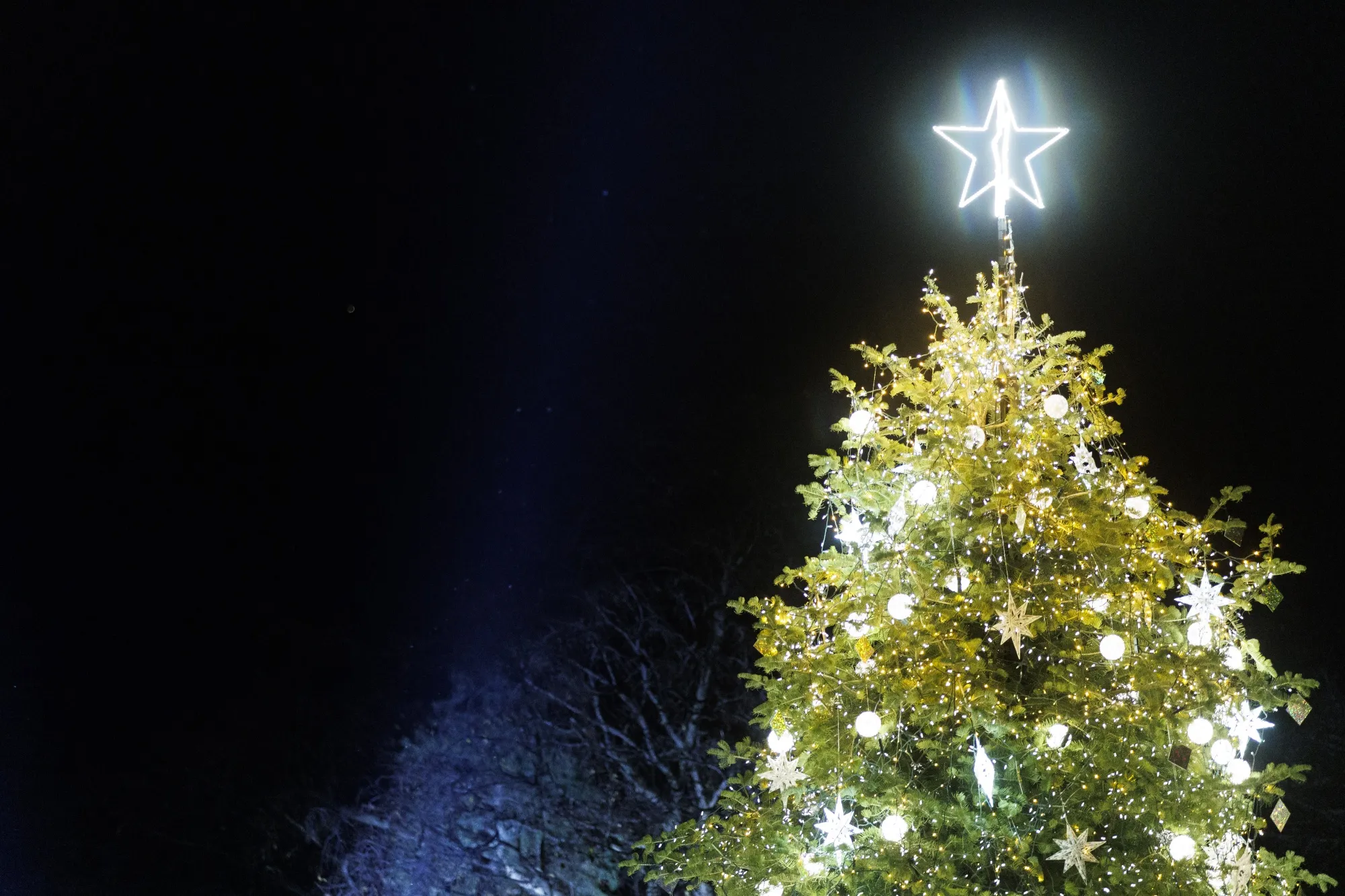 It’s that&nbsp;time of year for goodwill and analyst predictions..