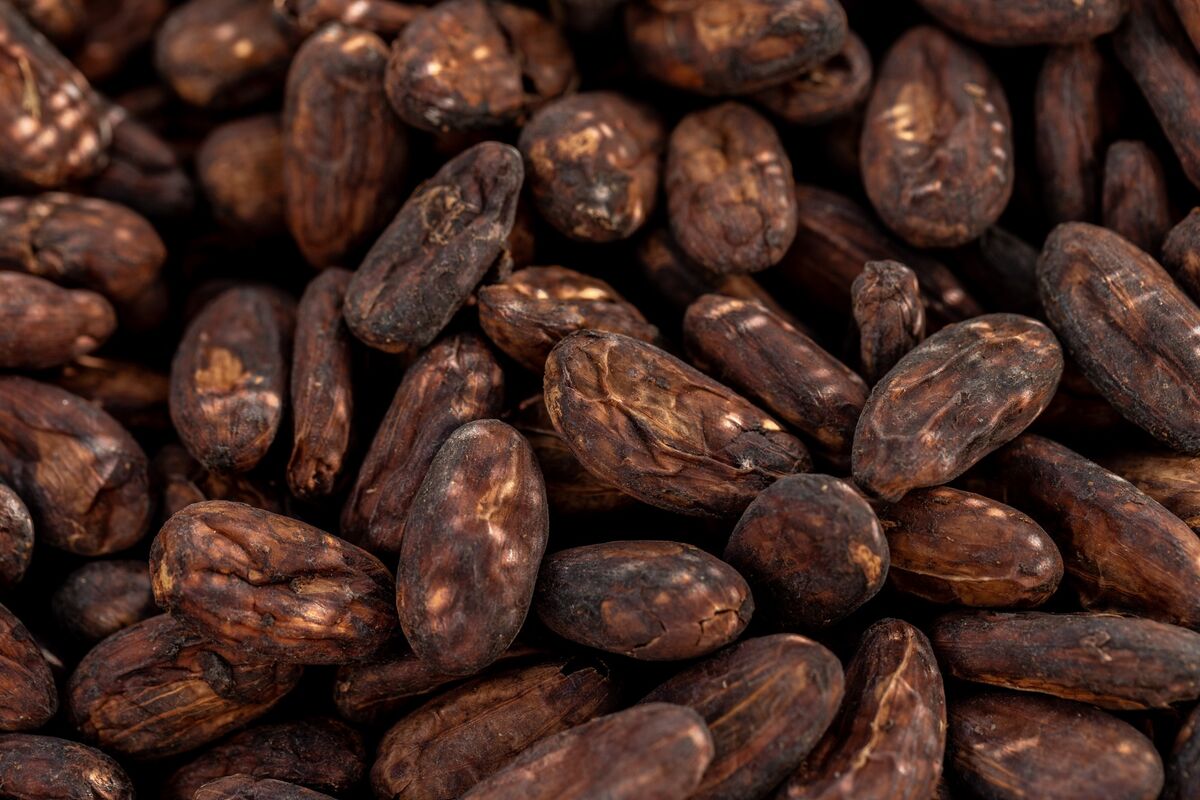 Cocoa Crunch Makes It Harder to Measure Demand Using Grind Data Bloomberg
