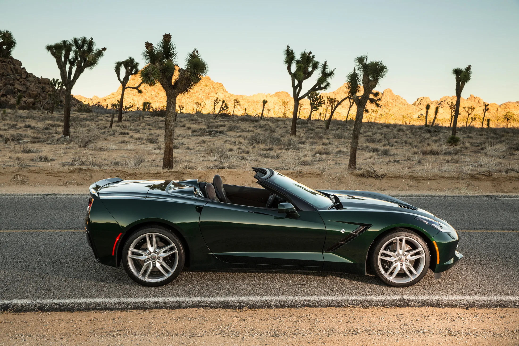 The 2015 Corvette Stingray Will Make Your Veins Pop - Bloomberg