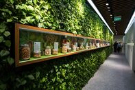 Views Inside The Olam International Ltd. Office
