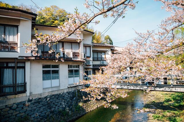 Kinosaki Onsen village with spring cherry blossoms in Hyogo prefecture.