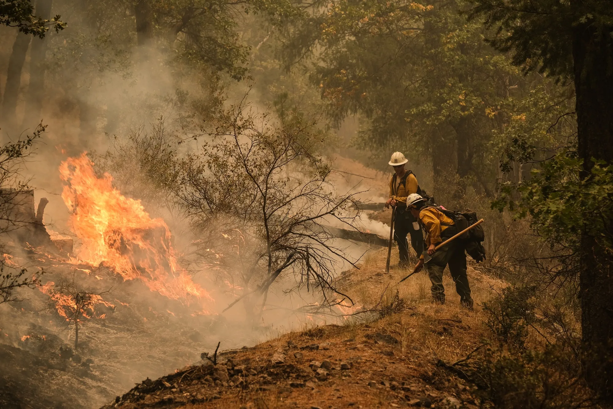 Firefighters contain a control burn during the Dixie Fire in Aug. 2021.&nbsp;