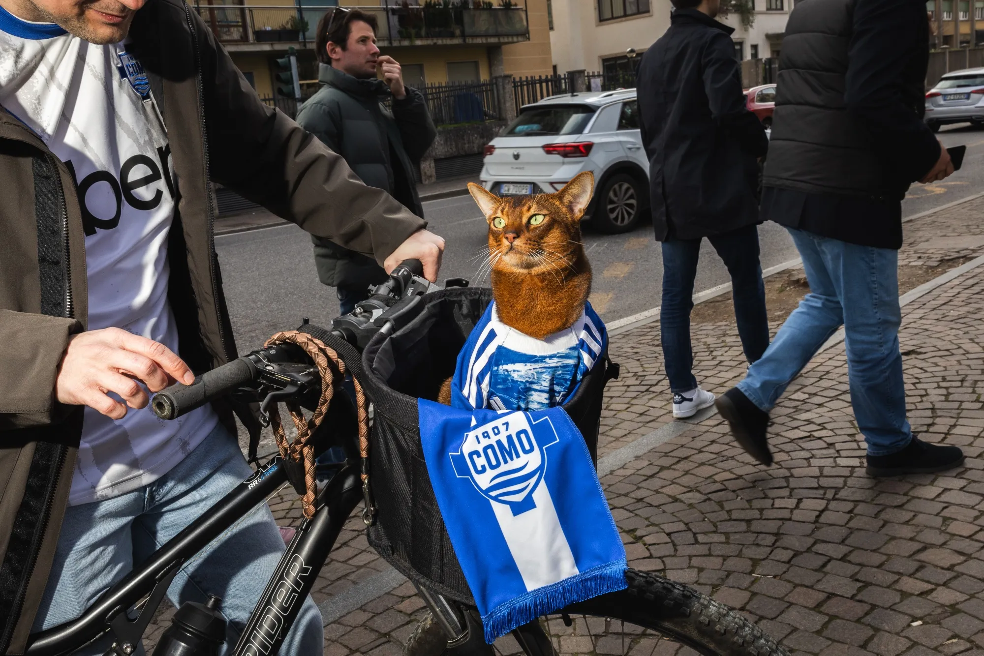 Sensej, a cat known as a dedicated Como 1907 supporter with more than 500,000 Instagram followers, outside the Sinigaglia Stadium before the Como versus Lecce match in&nbsp;Como, Italy, on Feb. 28.