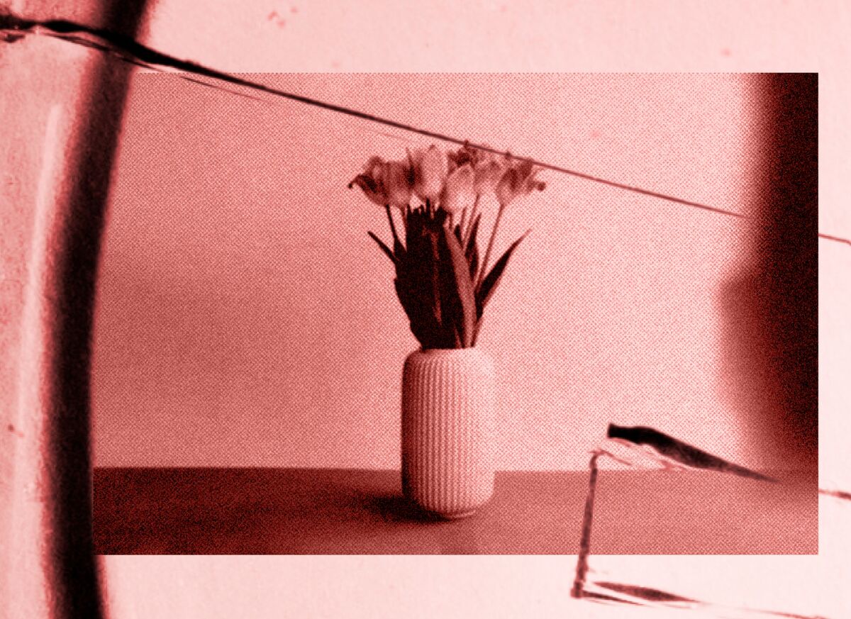 IVF Disrupted, The Kindbody Story: The Fertility Spa