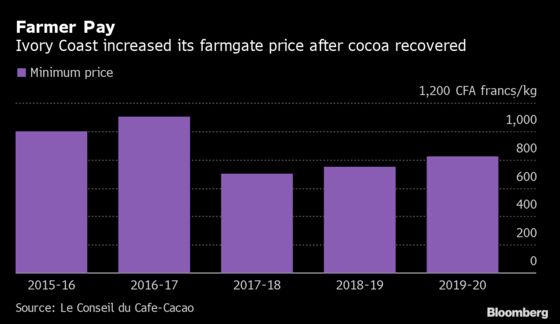 Top Cocoa Growers Raise Farmers’ Pay After Price Recovery