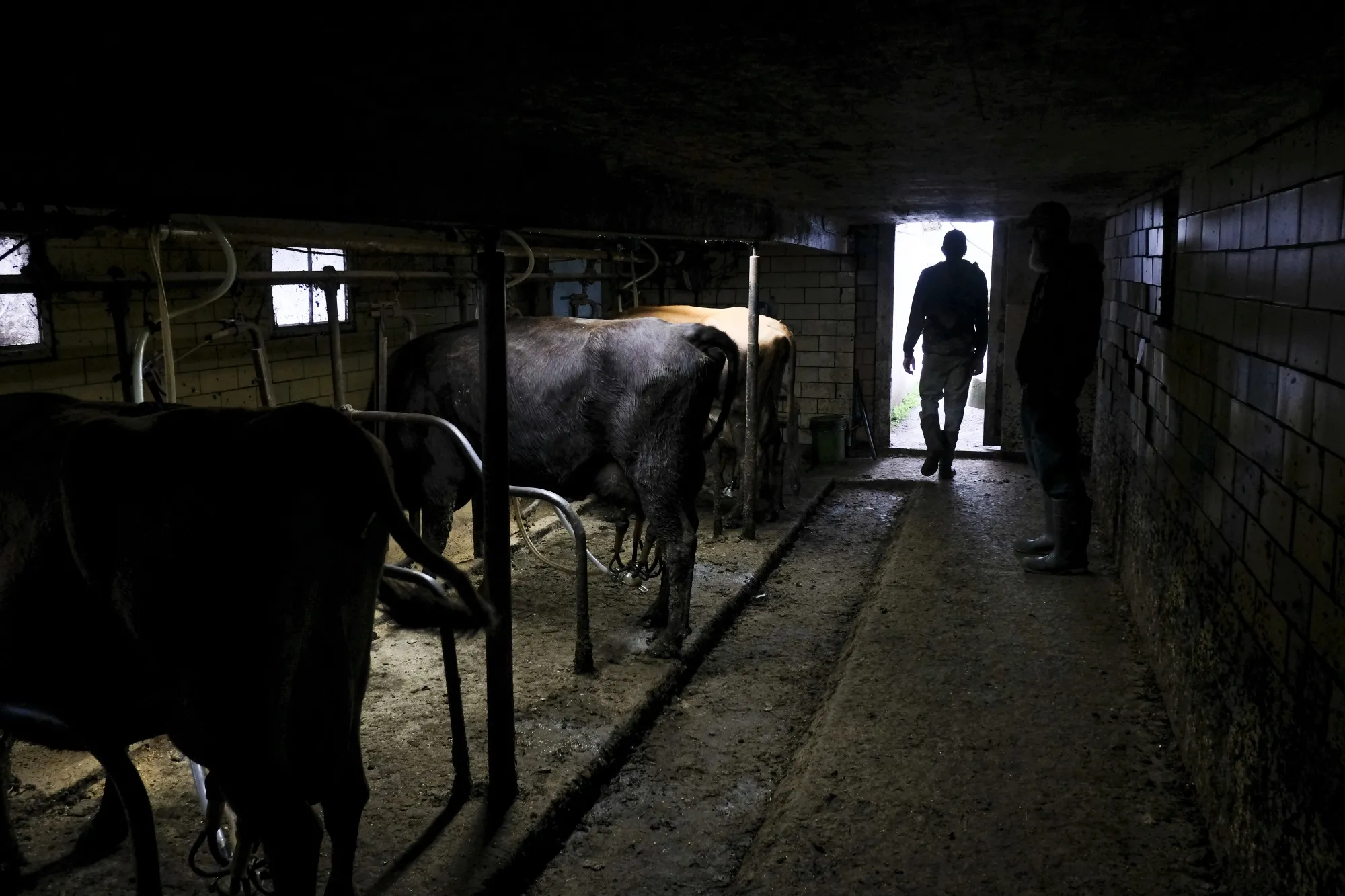 An Ohio Creamery While U.S. To Buy Milk And Meat As Part Of $15.5 Billion Aid 
