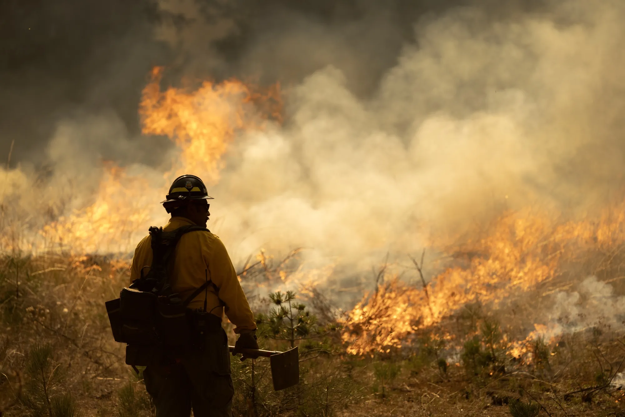 The Park Fire in Northern California spread at a shocking 5,000 acres an hour.