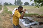 Indian Farmers Give New Crops a Cautious Try as Water Woes Rise
