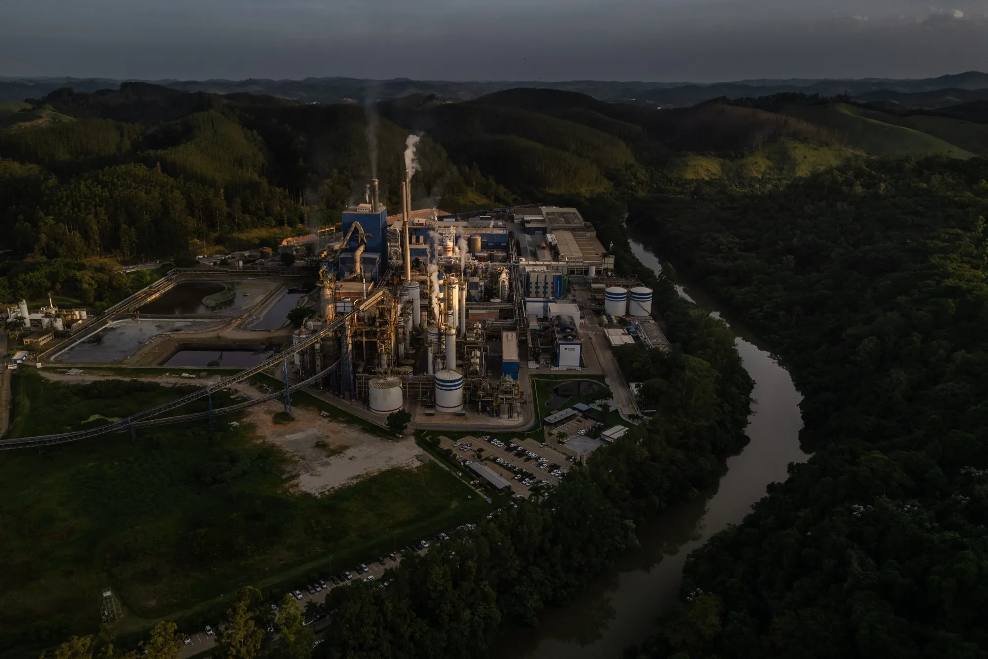Brazil Pulp Color Trump Tariffs: Brazil Pulp Giant Suzano Expands in US, China and Europe ...