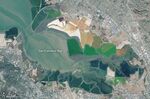 relates to The Bay Area's Massive Wetlands Restoration Project Is Working