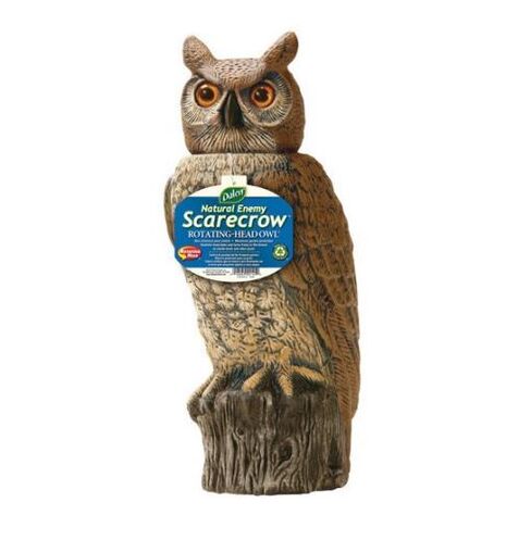 Dalen’s rotating head owl scarecrow.