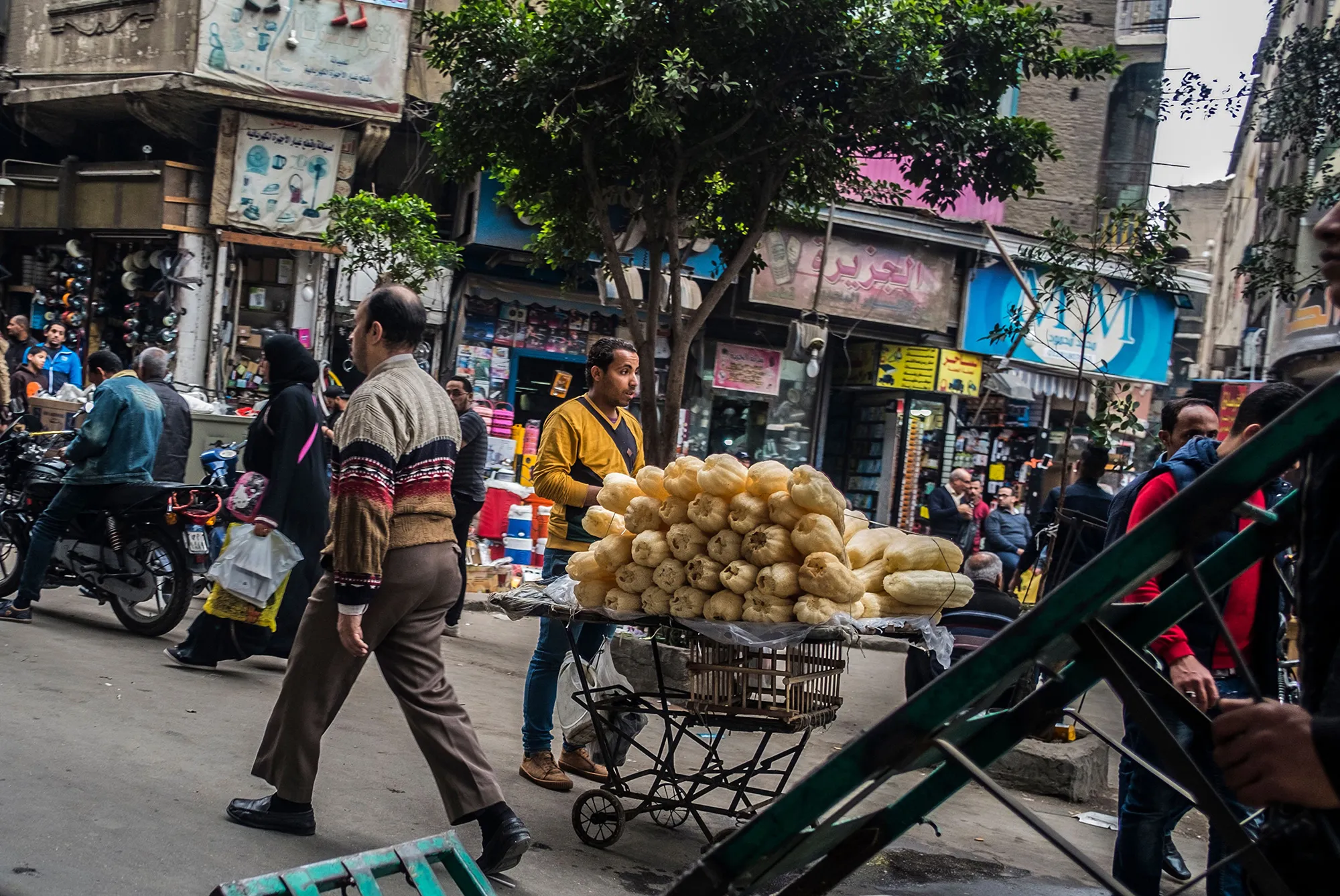 EGYPT-ECONOMY-SOCIETY-ELECTIONS