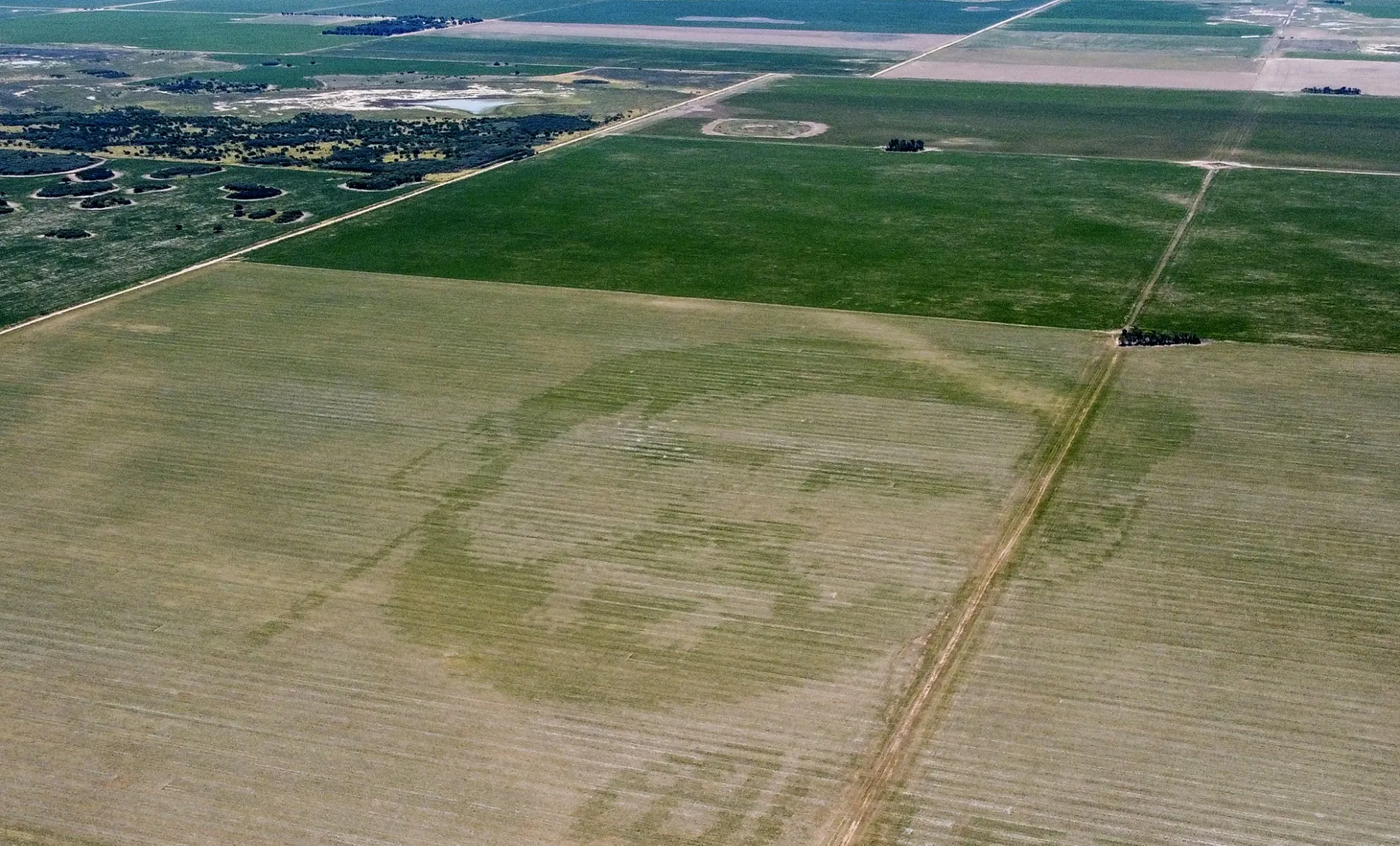 Lionel Messi Portraits Are Everywhere in Argentina, Including Crop ...