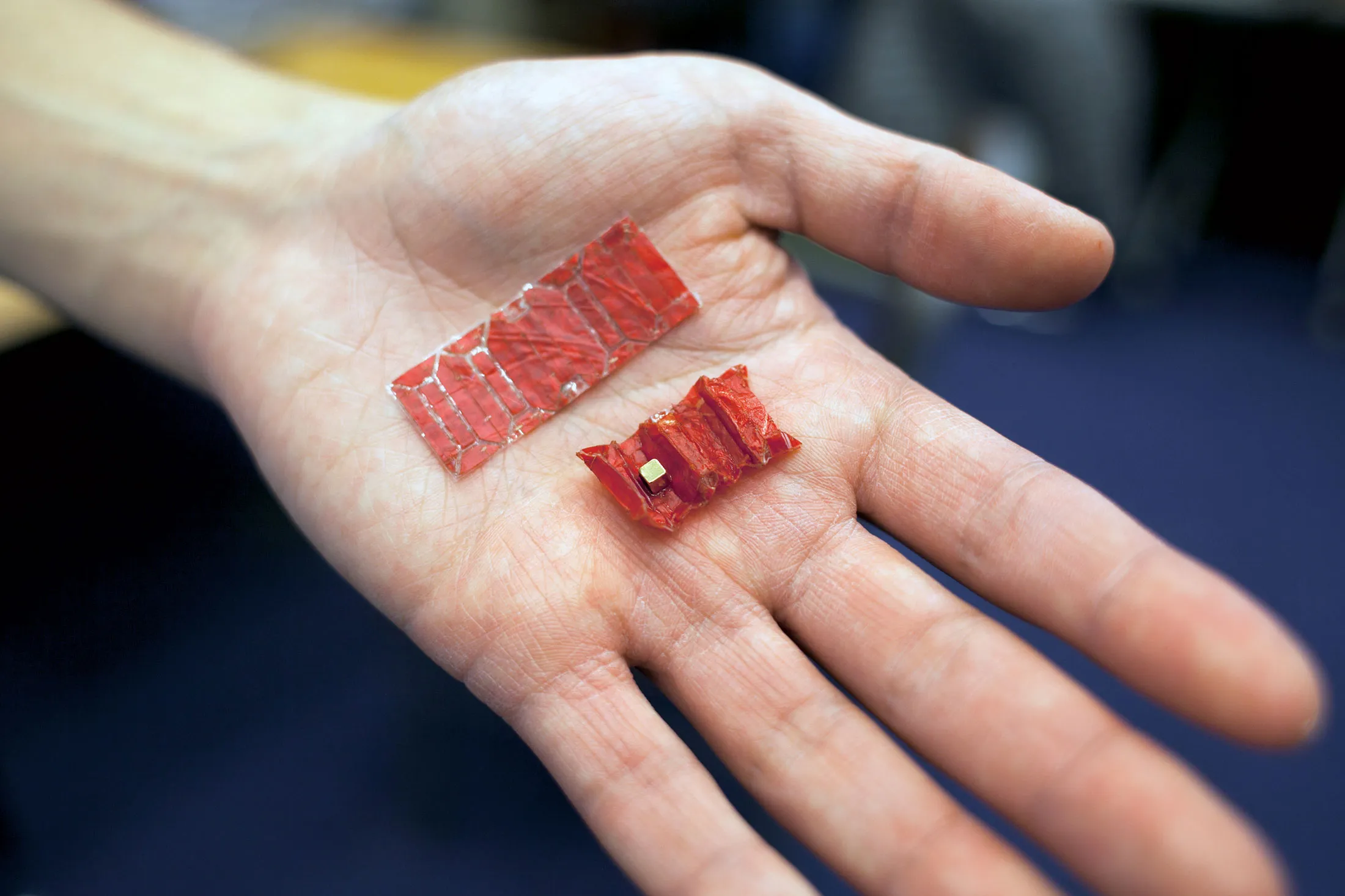 This robot unfolds like an origami after it’s swallowed.
