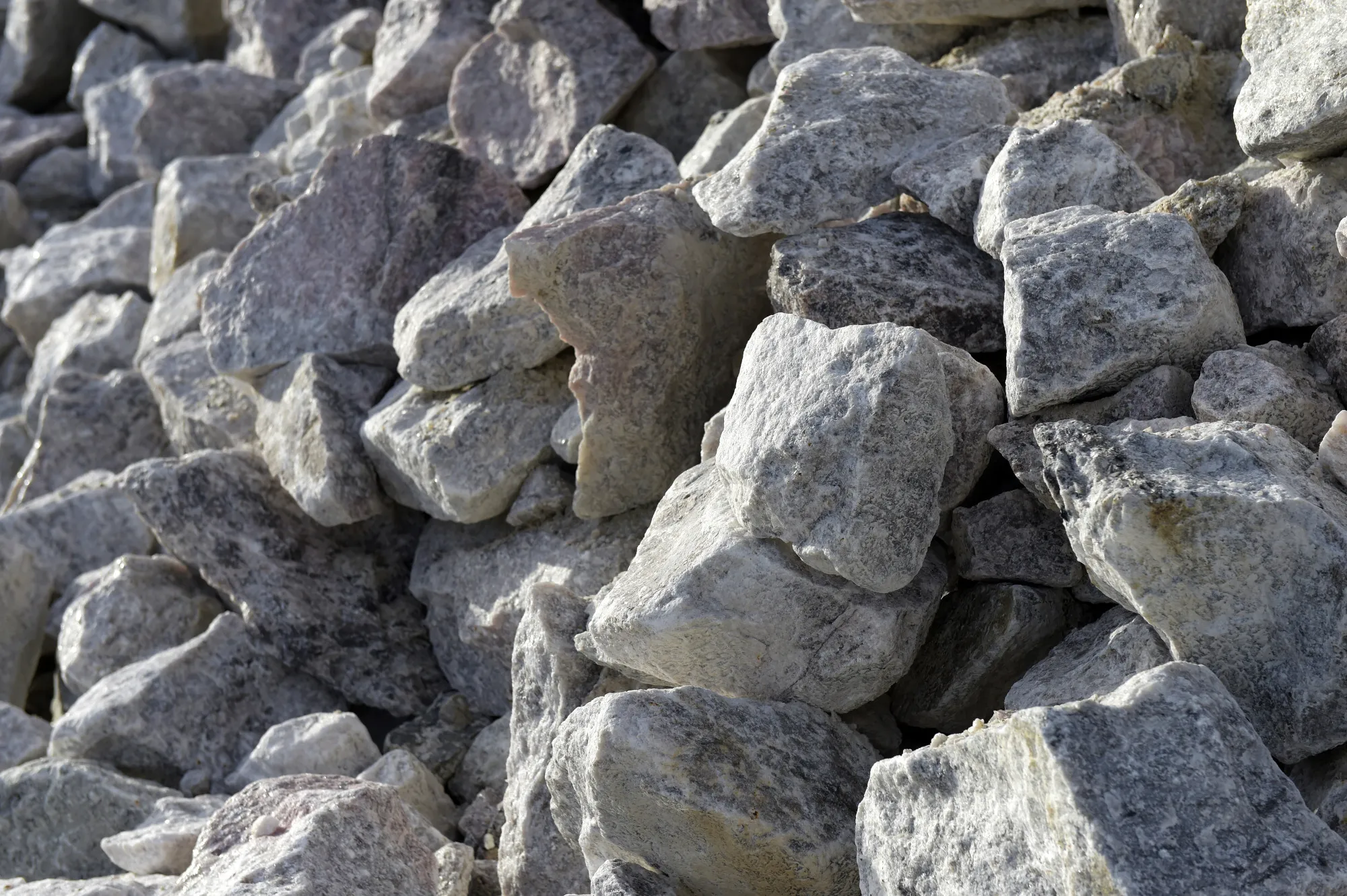 Namibia last week banned exports of unprocessed lithium.