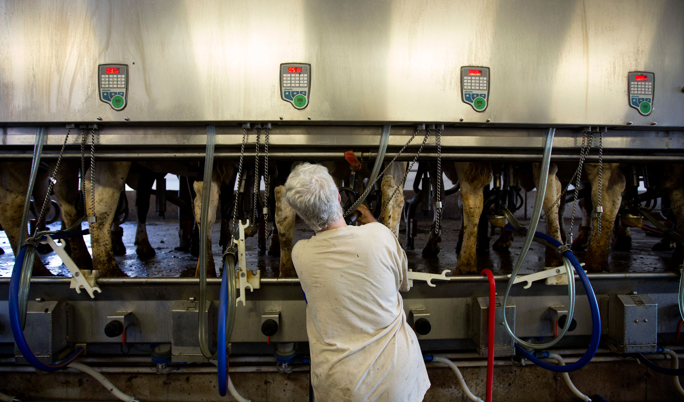 After months of demands from countries including the U.S., Australia and New Zealand to open its dairy markets as part of the Trans-Pacific Partnership, Canada outlined a proposal during talks in Hawaii that other nations rejected as inadequate.
