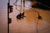 Brazil's Worst Flooding In 80 Years Leaves Dozens Dead And Missing
