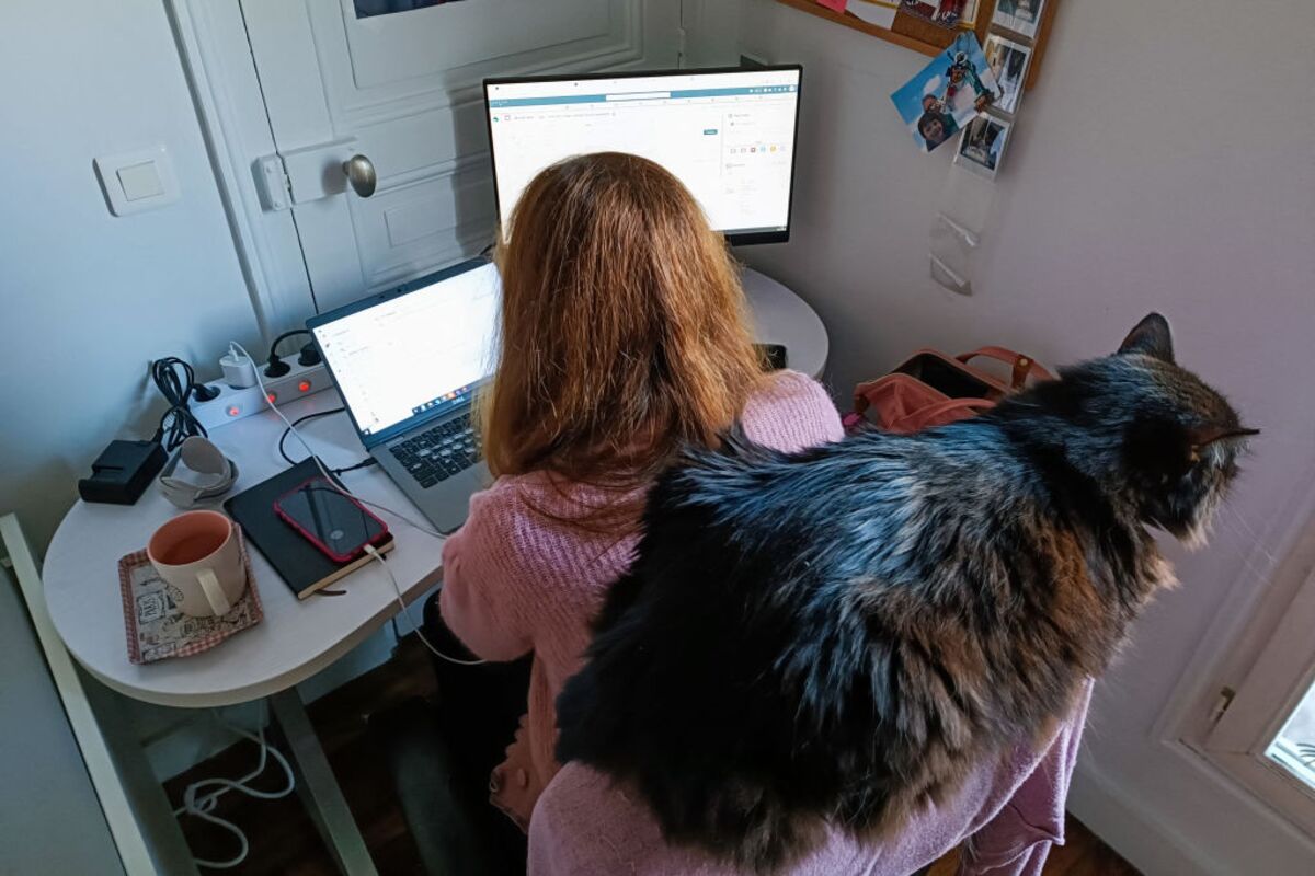 Can’t Find a Job After Graduation? Blame WFH, Not AI