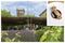 1505340318_bordeaux-chateau-troplong-mondot-final