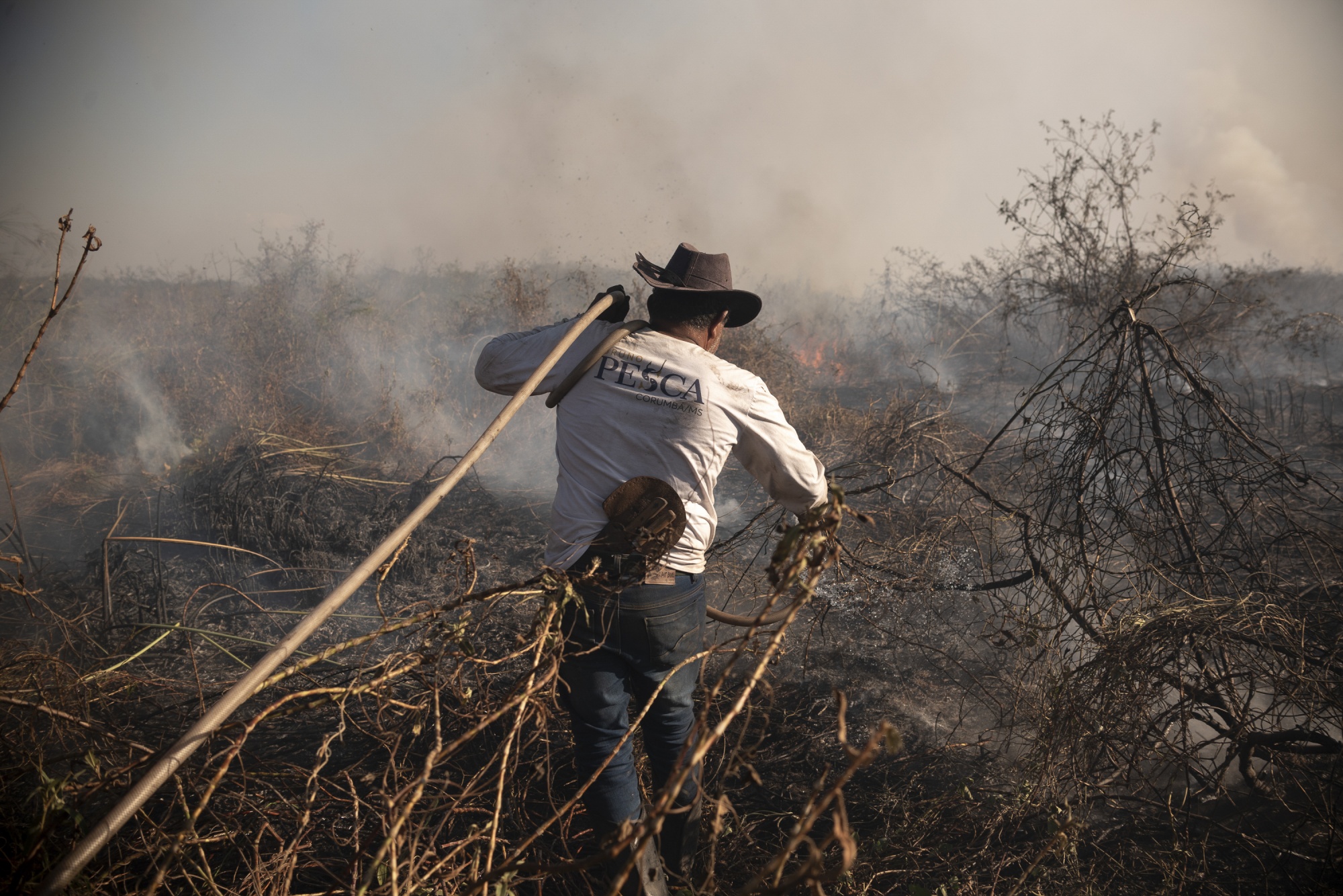 A man walks towards a flame in the distance holding a fire hosepipe, burnt trees, shrub and smoke surround him.